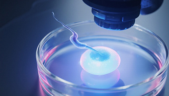 Что такое экстракорпоральное оплодотворение и как оно работает?